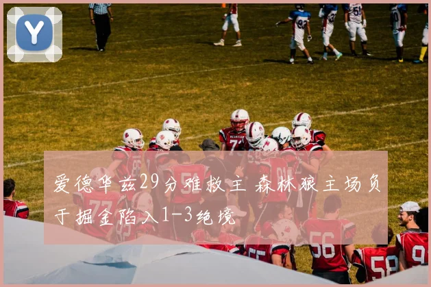 爱德华兹29分难救主 森林狼主场负于掘金陷入1-3绝境